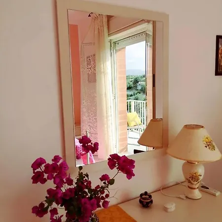 Apartment Hibiscus House